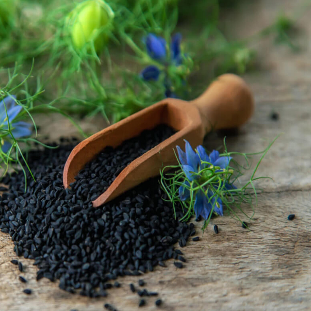 Indian Spices Masale Black Cumin/Kalonji Pure Organic 10-1000 gm Free Shipping
