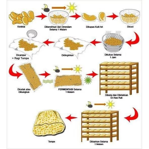10x Raprima Tempeh Rahi Tempe 500g Starter Inoculum Tempeh Soya Protein