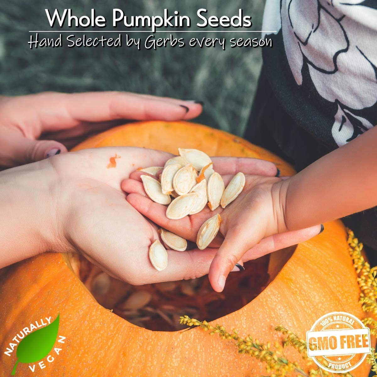 Gerbs Roasted Unsalted Jumbo Whole Pumpkin Seeds 2 lbs. | Small Batch, In-Shell,
