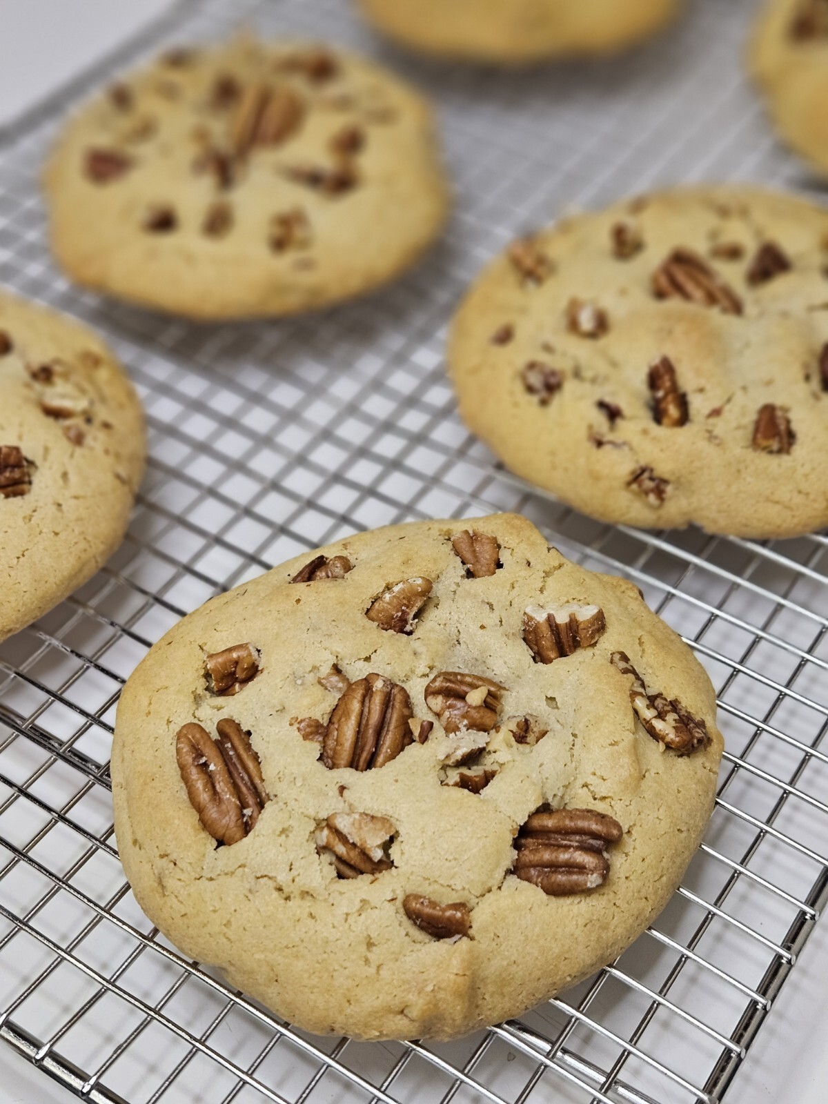 Variety Box Handmade Fresh Baked Cookies, Giant Cookies, 7 Soft Baked Cookies