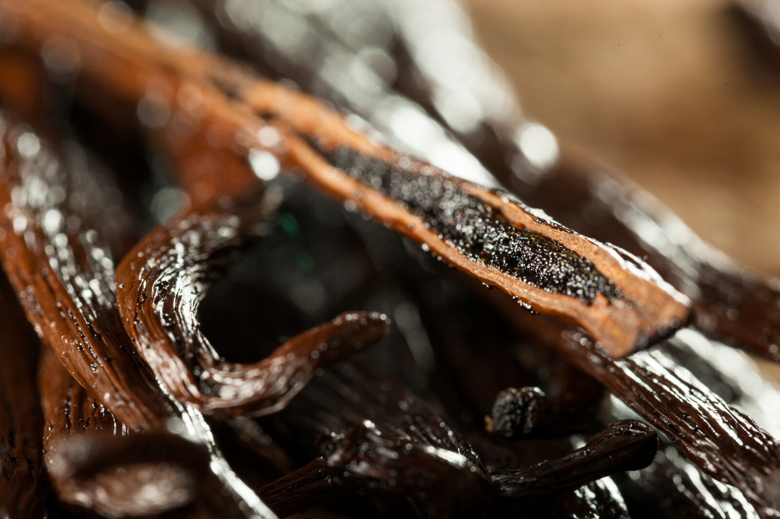 10 Grade A Gourmet Madagascar Vanilla Beans For Vanilla Extract | 5 – 6 Inches