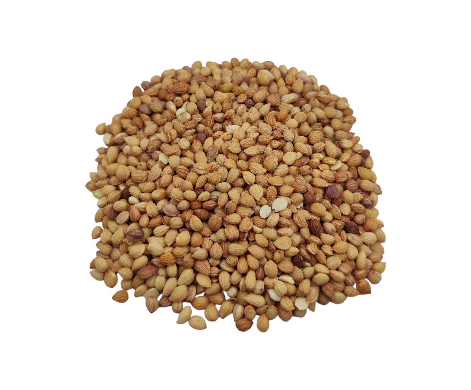 Dried Mahaleb Cherry Seeds Mahlepi 25g(0.9 oz) – 1.95Kg(68.8 oz) Prunus Mahaleb