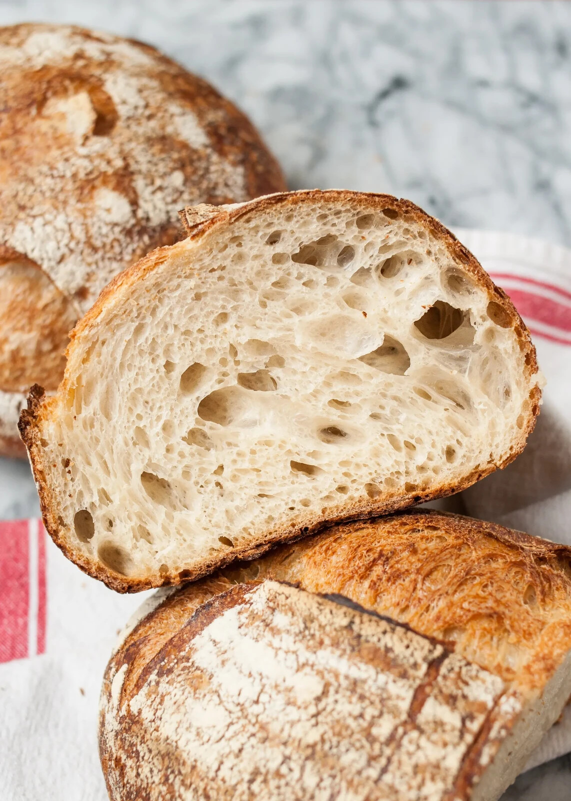 Sourdough Starter Dehydrated Organic Genoa Italy Italian – 15 Gram Bag
