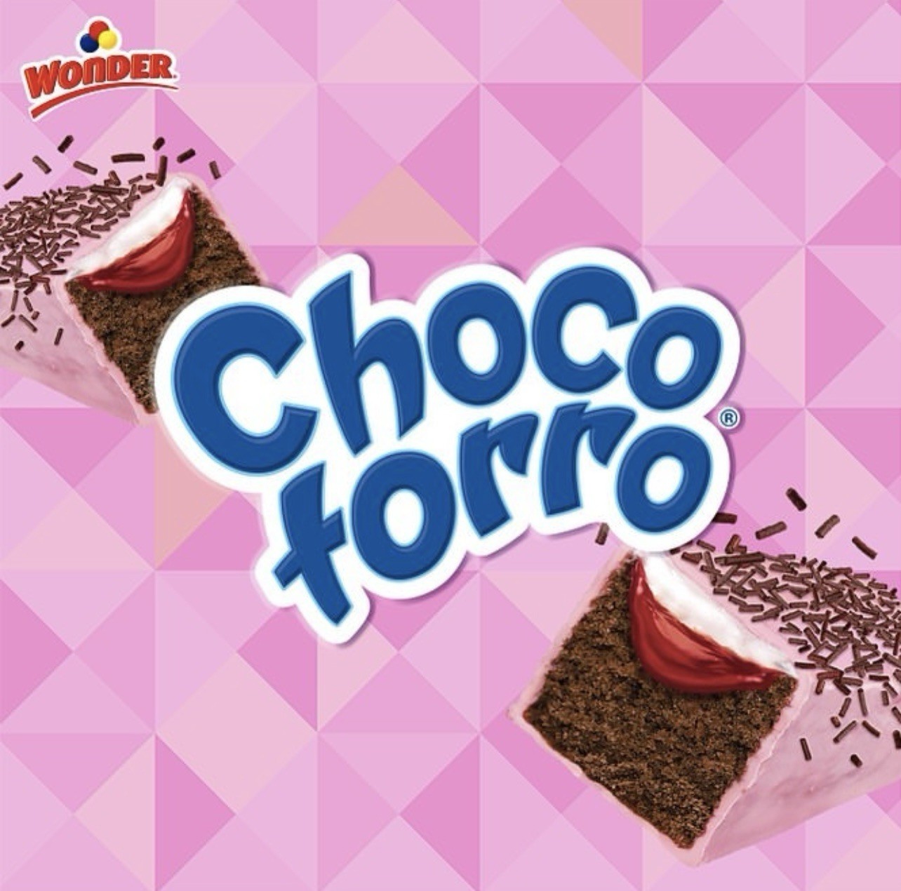 5X PASTELITOS CHOCOTORRO 🇲🇽 – CHOCOTORRO PASTRY SPECIAL EDITION