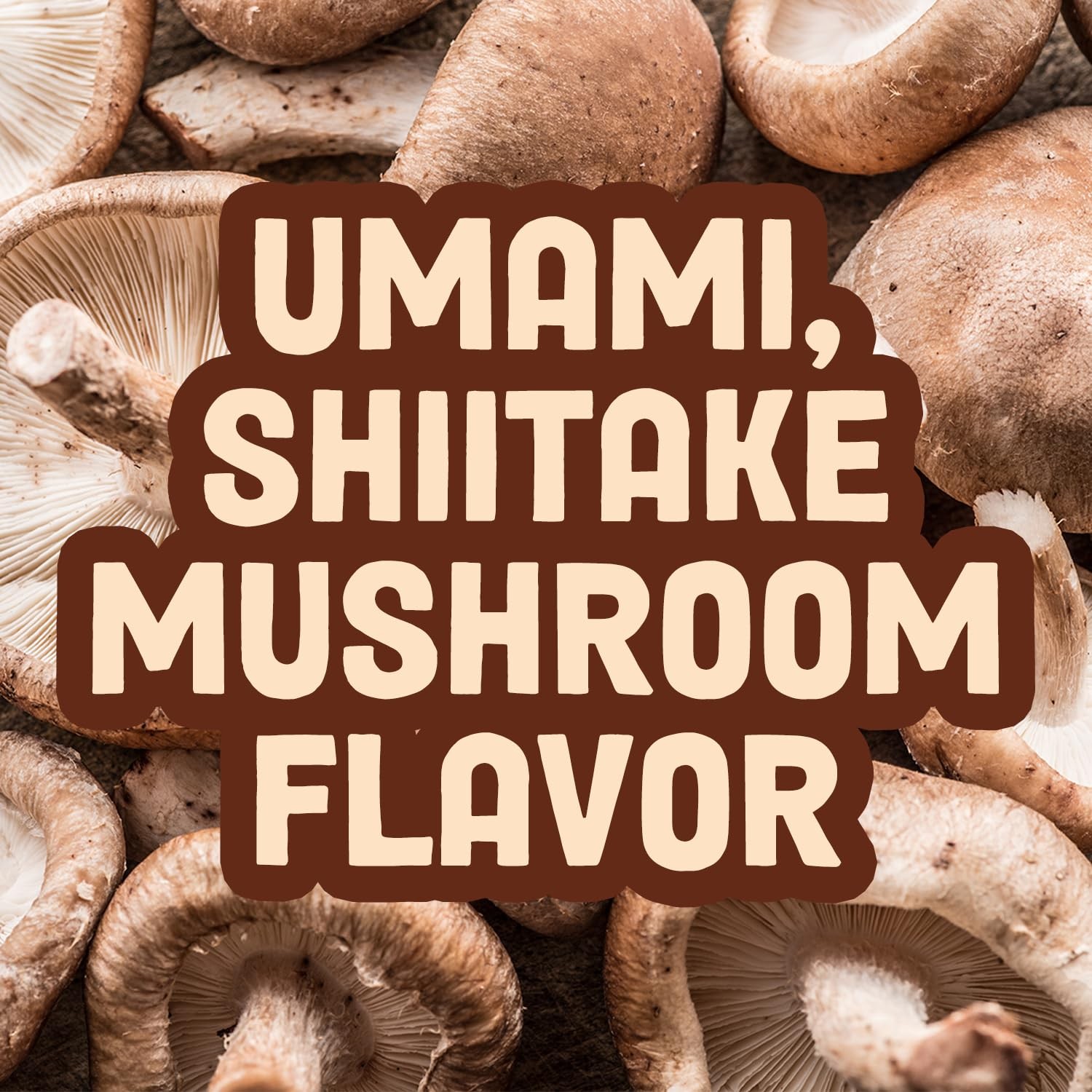 Pan’s Mushroom Jerky, Vegan Snacks, Dried Mushrooms 2.2 Ounce (Pack of 3)