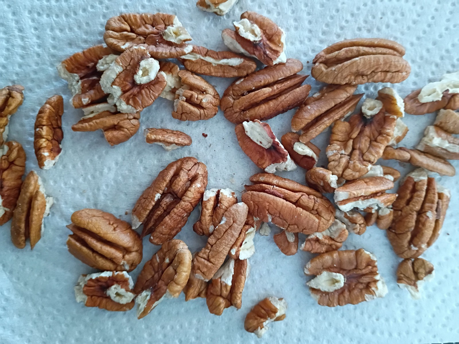 3 pounds delicious South GA Oconee pecan halves and pieces 2025 crop