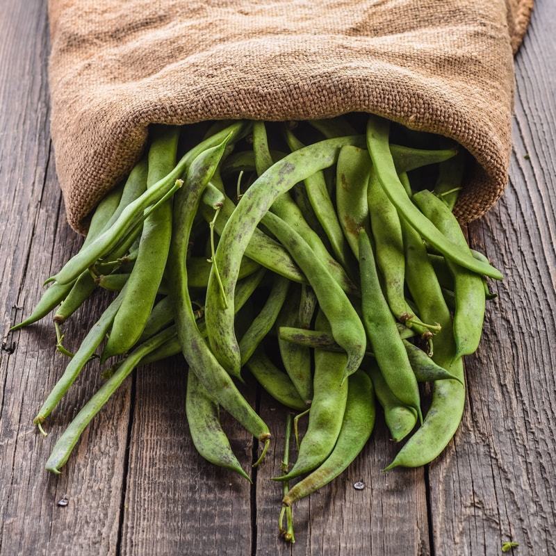 Organic Great Northern Beans – Dried, Non-GMO, Kosher, Raw, Sproutable, Bulk