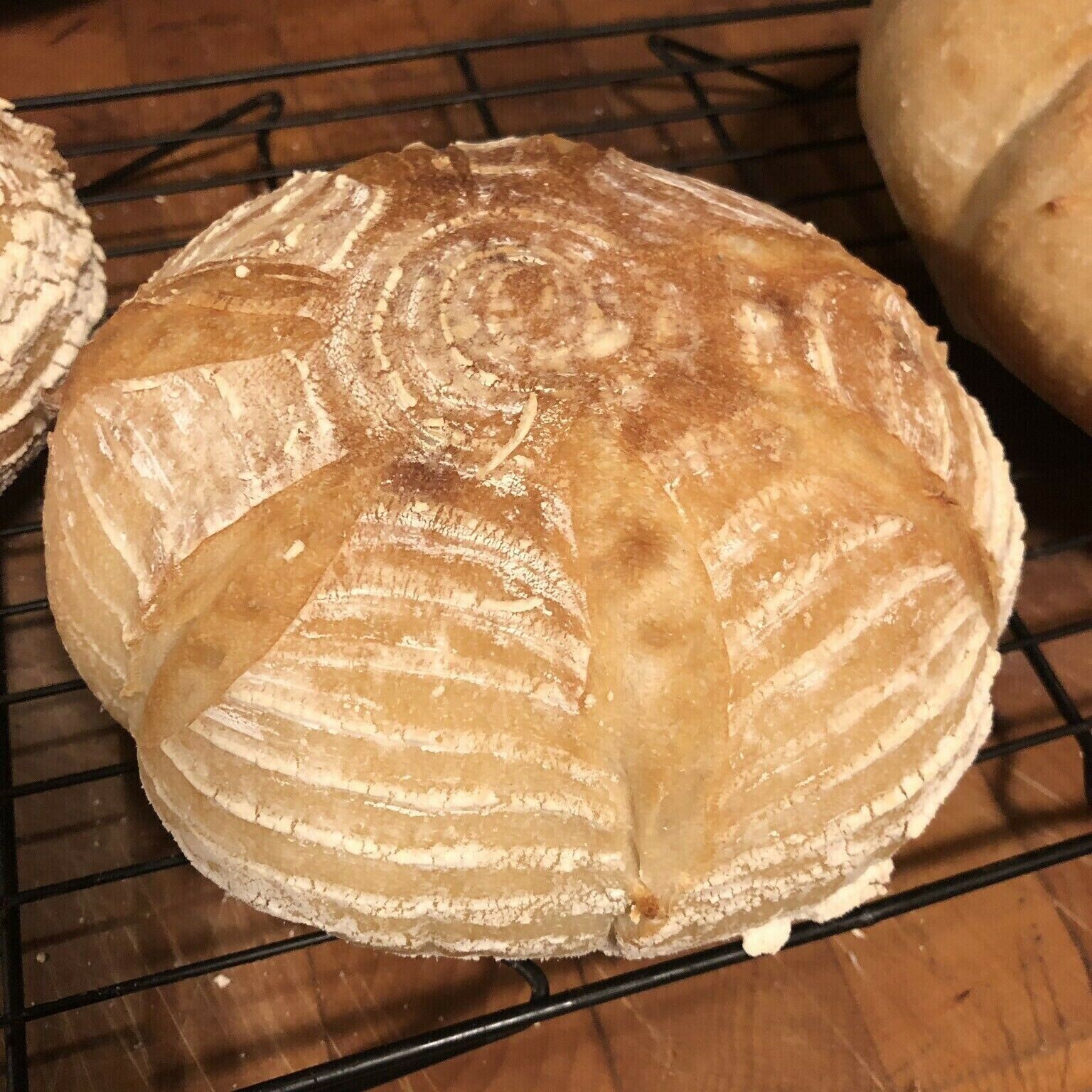 Dehydrated Sourdough Starter San Francisco 75+ Yrs Old – 15 Gram Bag