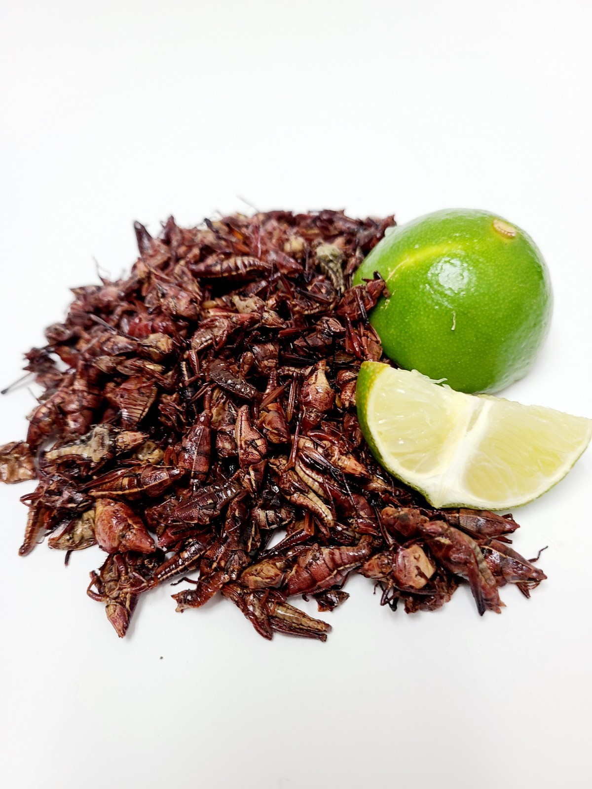 1 LB FRESH CHAPULINES CON LIMONCITO (grasshoppers w/lime) from OAXACA.