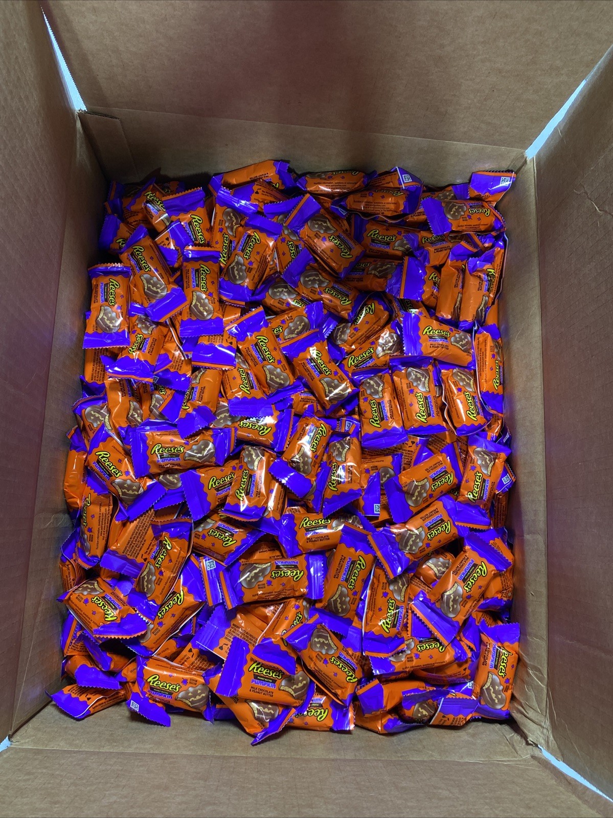 Reese’s Halloween Peanut Butter Pumpkins 27 LB Bulk Box!- BB: 08/2026