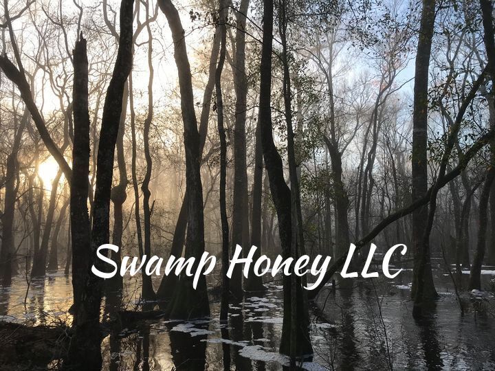 2026 Raw Georgia Tupelo Honey USPS Shipping Included. From the beekeeper.