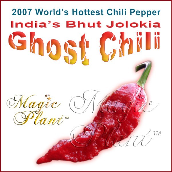 Ghost Pepper Powder 1kg | Super Hot Ghost Chili – Quality Guaranteed!