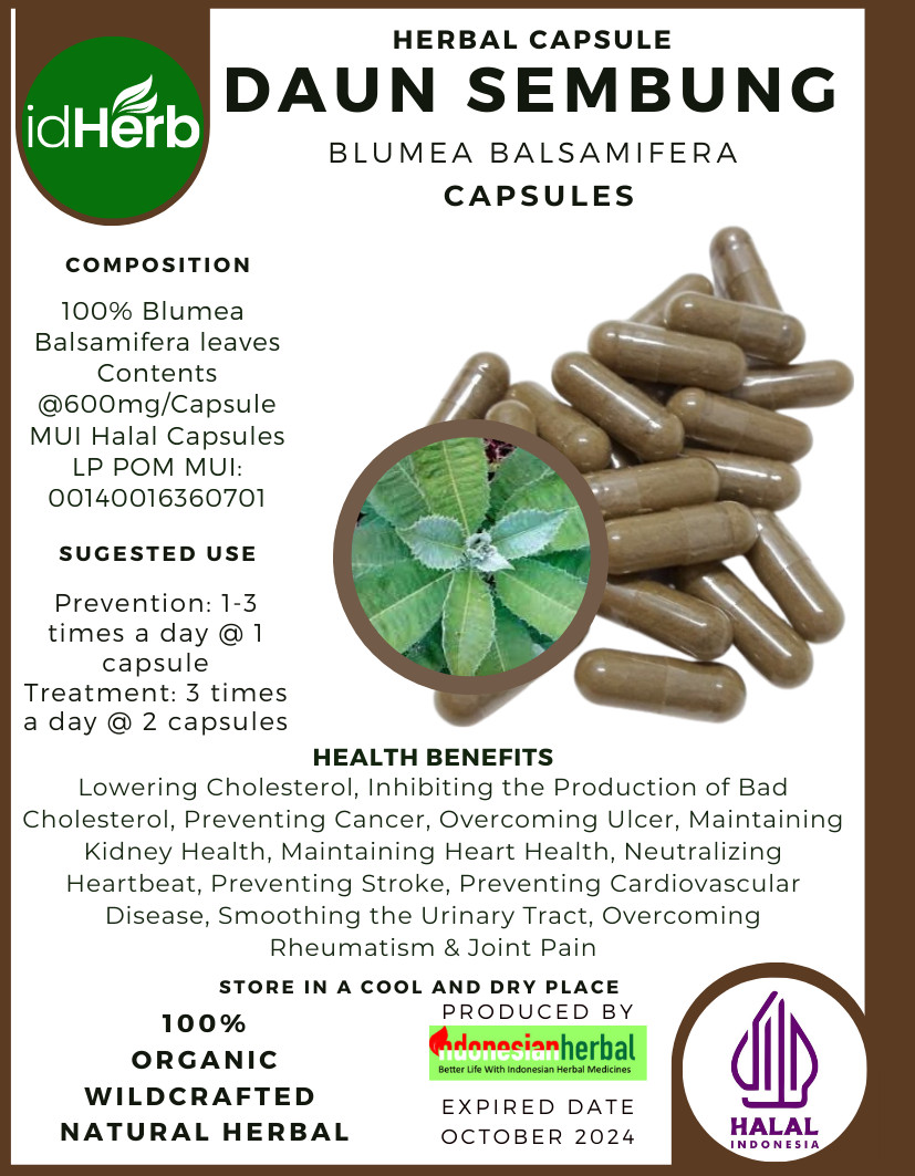 {idHerb} CAPSULE DAUN SEMBUNG BLUMEA BALSAMIFERA NATURAL ORGANIC HERBAL FRESH