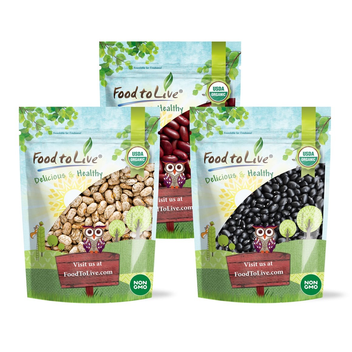 Organic 15 lbs Dry Beans Bundle of Dark Red Kidney Beans, Pinto and Black Beans