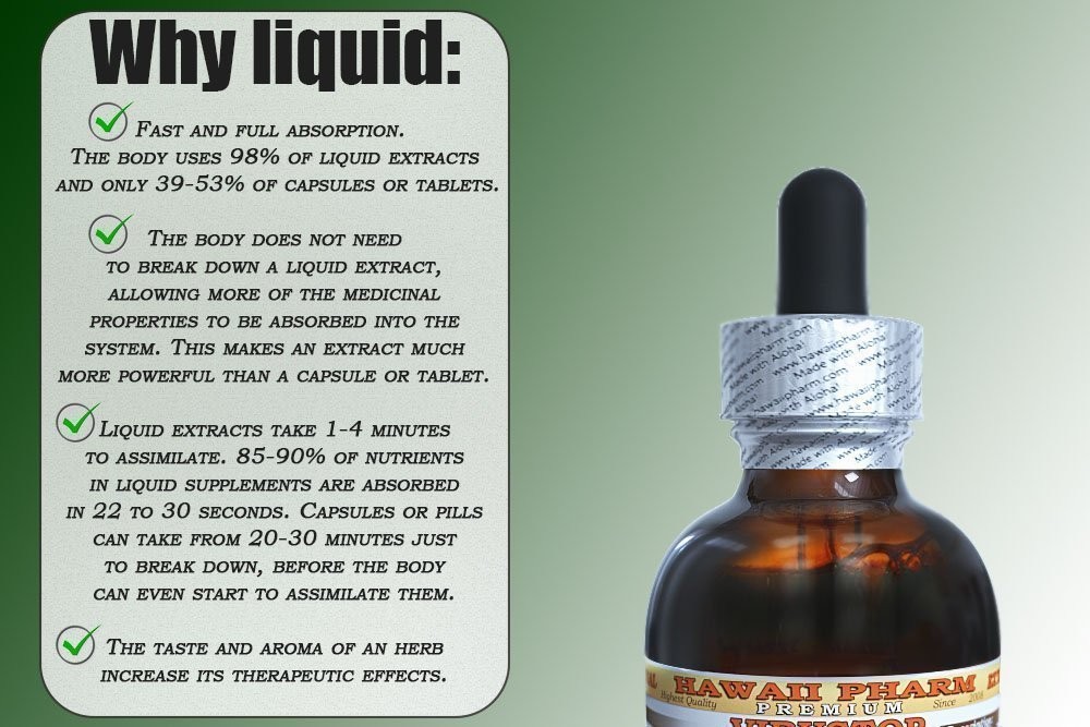 Mullein Alcohol-Free Liquid Extract 2 oz – Professional Grade Herbal Supplement