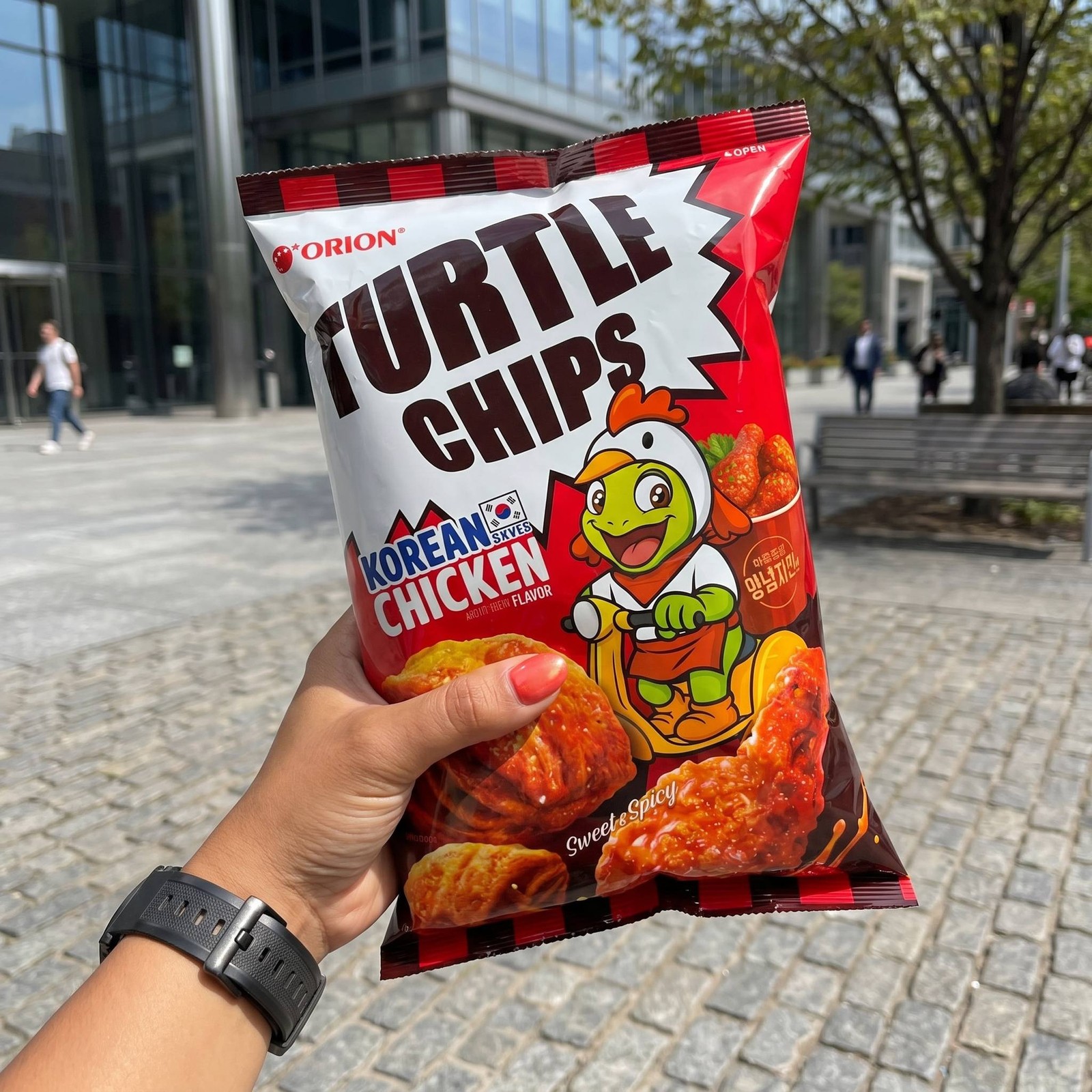 Turtle Chips Korean 4-Layer Crispy Snack Chips 2 Pack, Choose Flavor Imported Ko