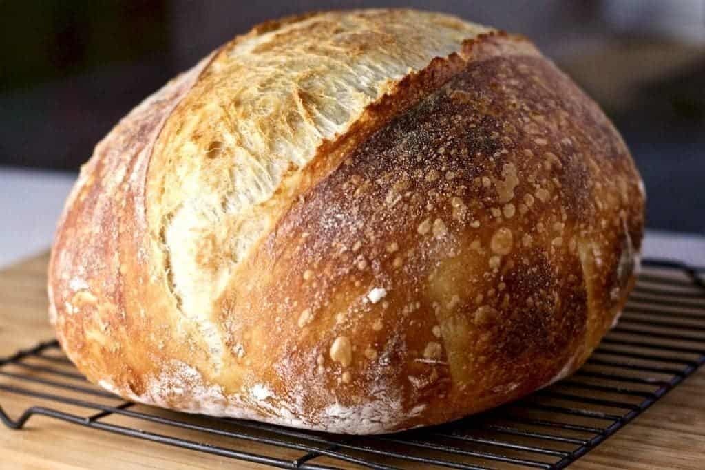 Sourdough Starter Dehydrated – San Francisco – 15 Gram Bag