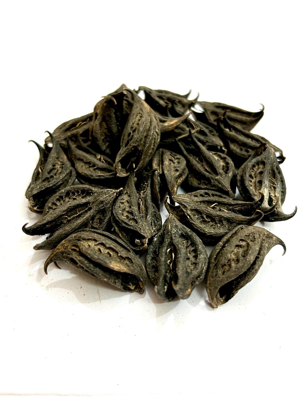 Bichhu Phal, Bichhu Fal, Kaknasa, Martynia annua, Natural Bichhu Fal