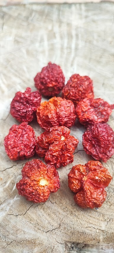 CAROLINA REAPER pods (15 pods) 1 pack for US$5.90