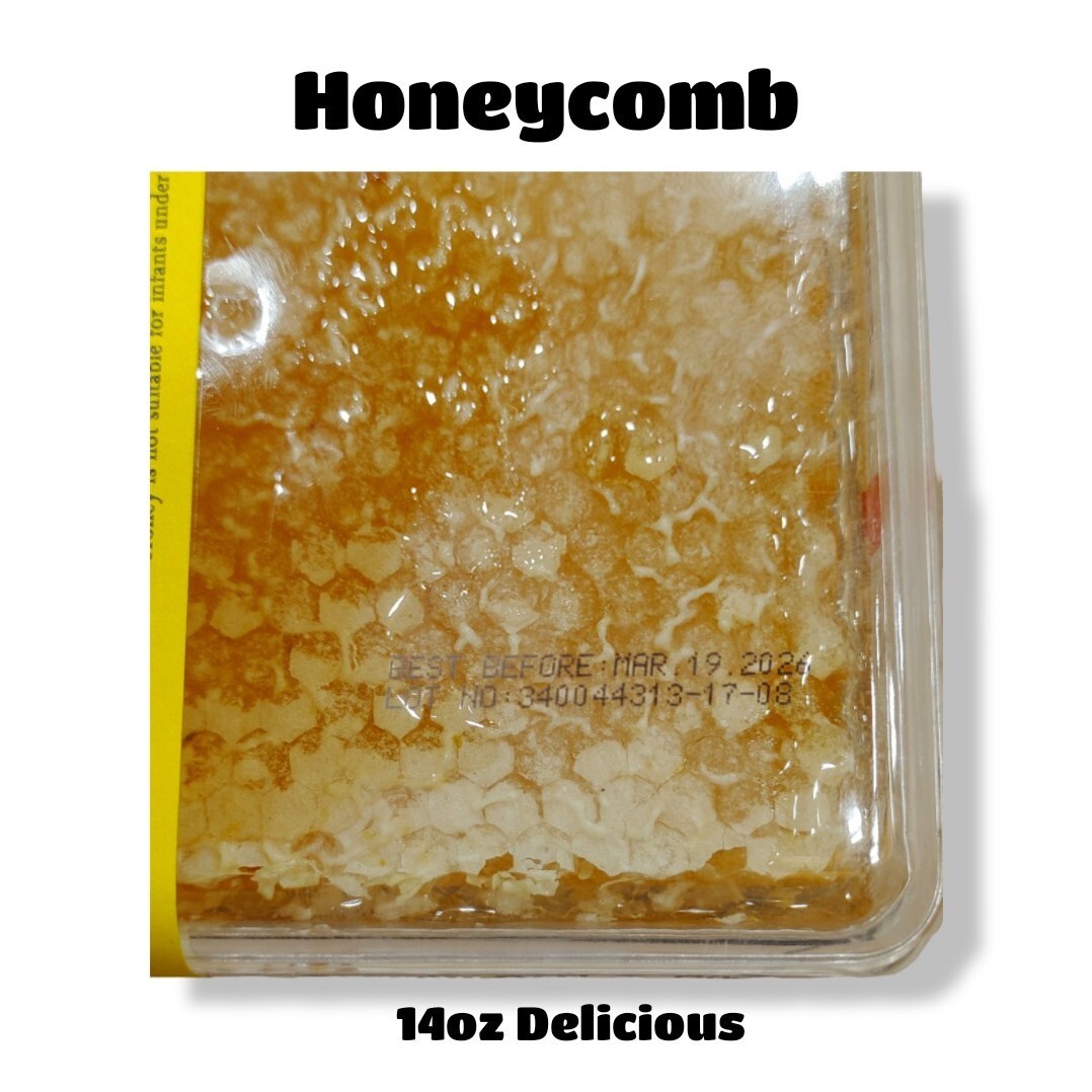 PREMIUM HONEY RAW GALLBERRY COMB 12oz 100% PURE UNFILTERED USA HONEYCOMB