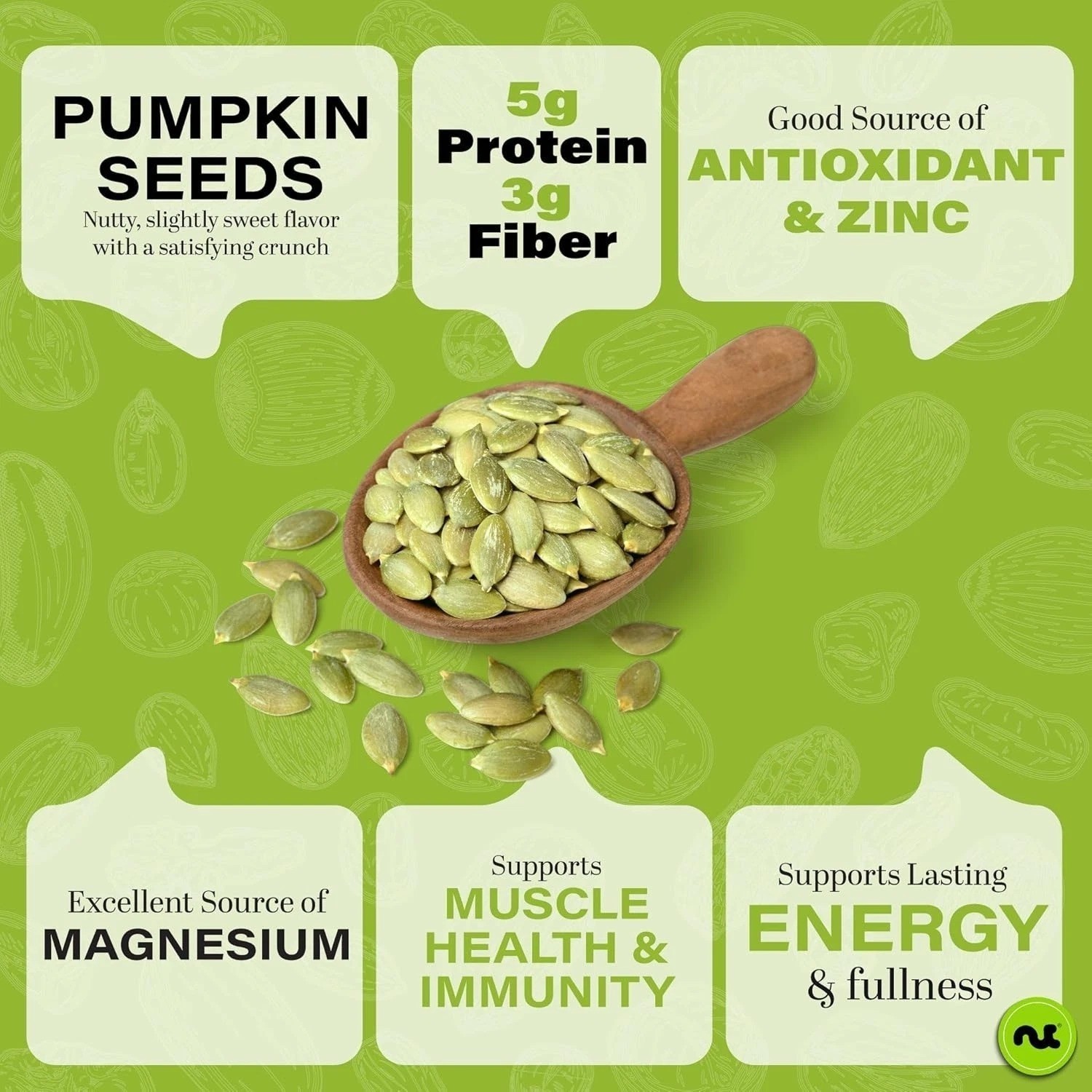 – Raw Pumpkin Seeds Pepitas, Unsalted, Shelled, (8Oz – 1 Pack) Bulk Nuts Packed