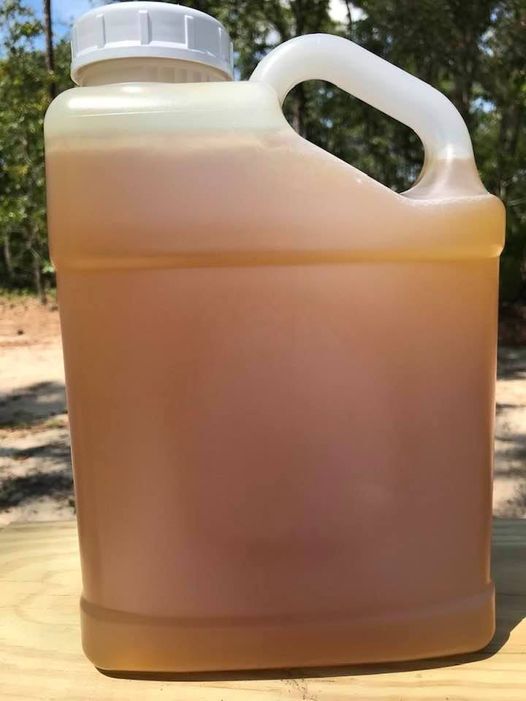 2026 Raw Georgia Tupelo Honey USPS Shipping Included. From the beekeeper.