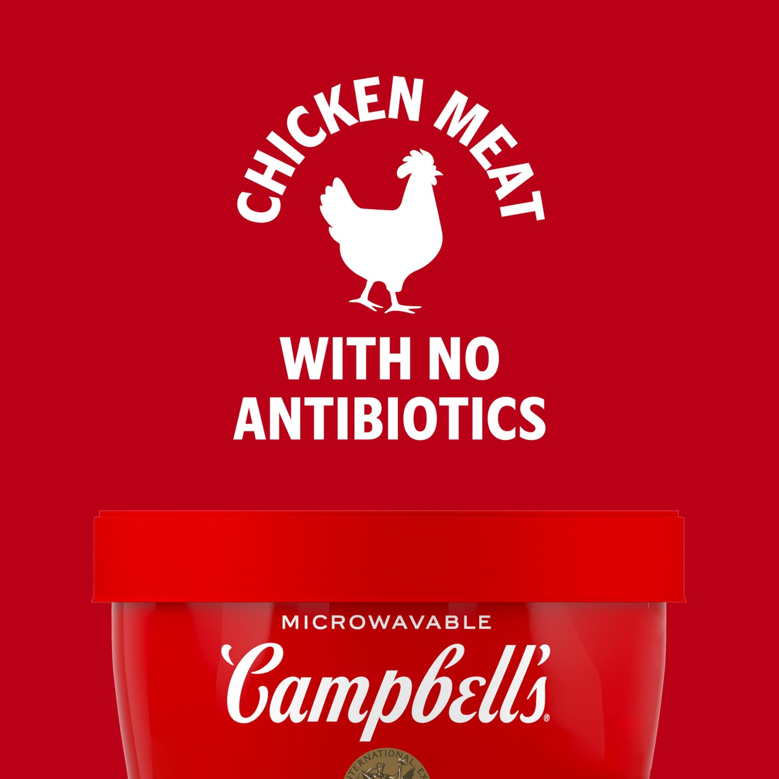Campbell’s Homestyle Chicken Noodle Soup Microwavable 1 Count (Pack of 1)