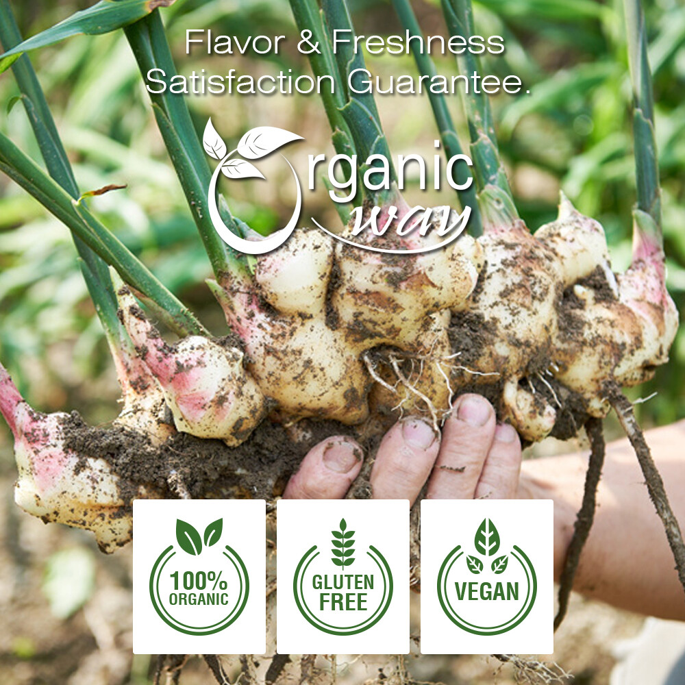 Organic Way Ginger Root Powder – Organic, Kosher & USDA Certified (1/2LBS / 8Oz)