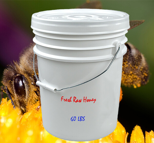 5 Gallons Pure Raw Local Honey from Alberta! – 60 LBS – Bulk Raw Honey