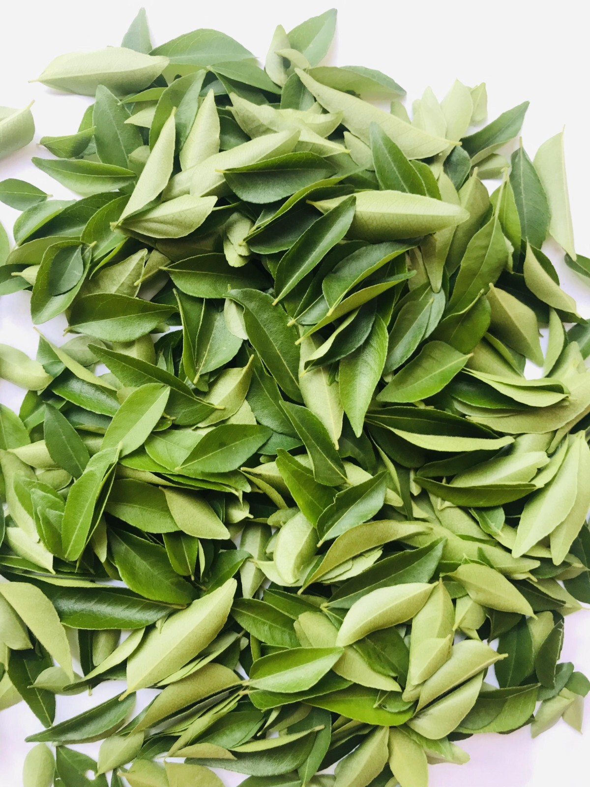 Sun Dried Organic Curry Leaf Natural Curry Leaves Premium Quality