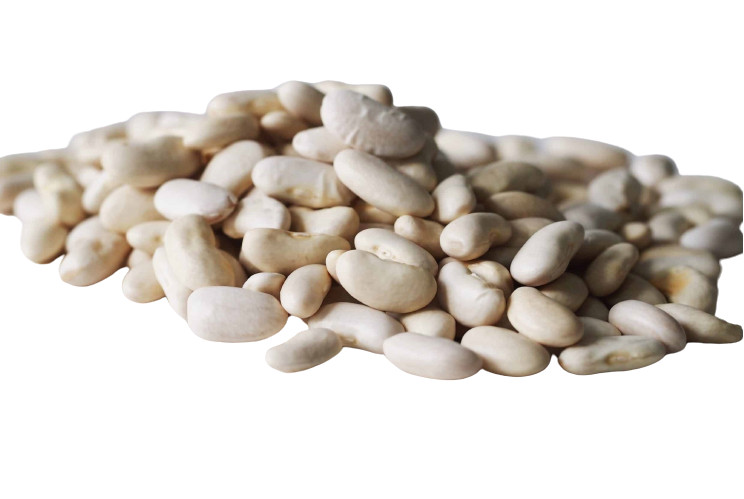 CANNELLINI BEANS White Kidney Bean Dry 1kg 2kg 5kg 10kg 15kg 20kg 30kg 40kg Bulk