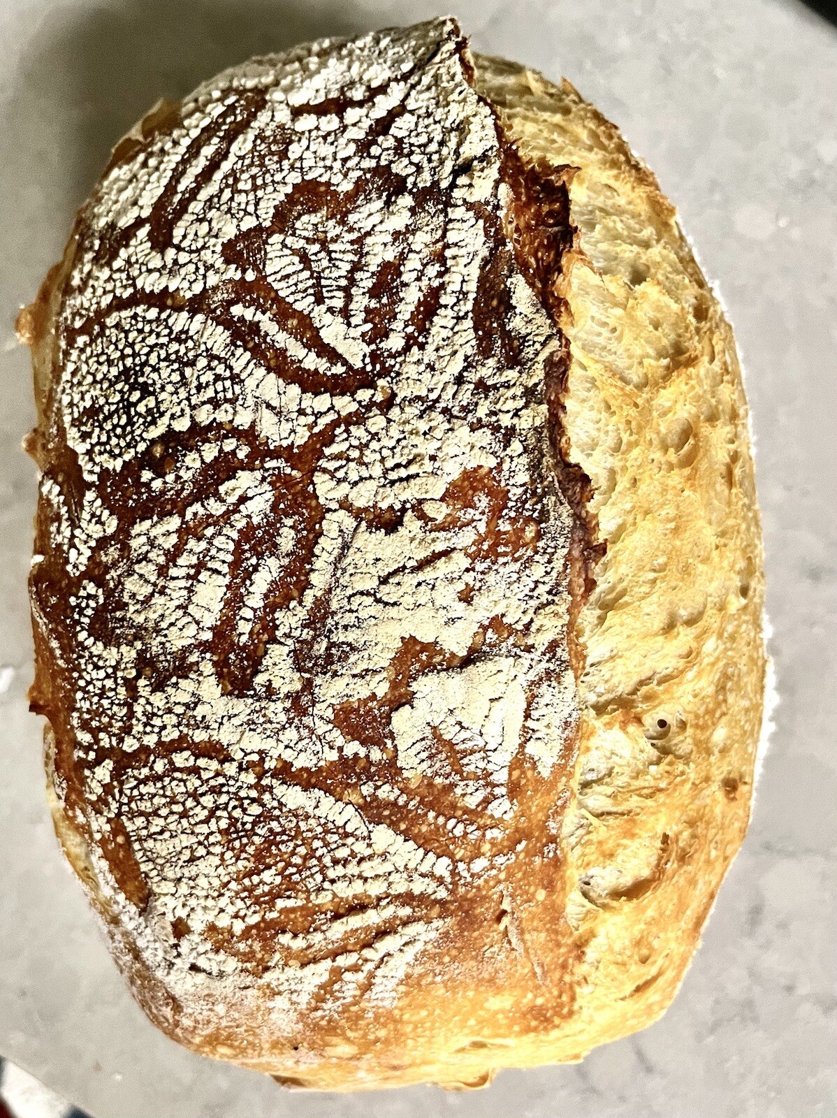 Dry Sourdough Starter 1/2 Oz (14 Grams). Our Own Organic Starter. Active 20+year