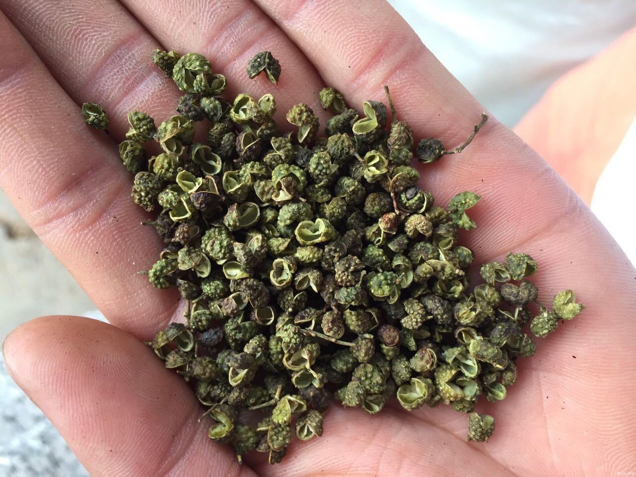 Dark Green Japanese Sansho Peppercorn | Green Peppercorn Whole – Strong Aromas!