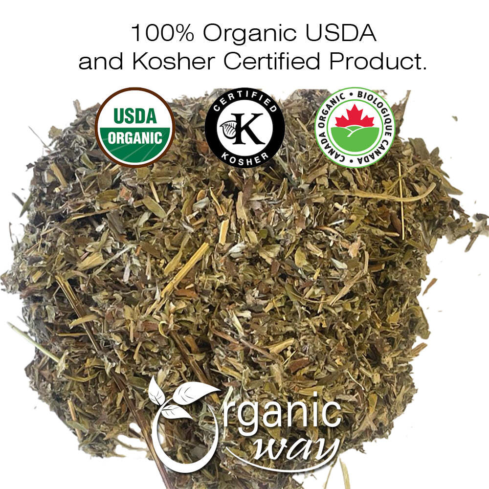Mugwort Herb Loose Leaf Cut & Sifted – European Wild-Harvest