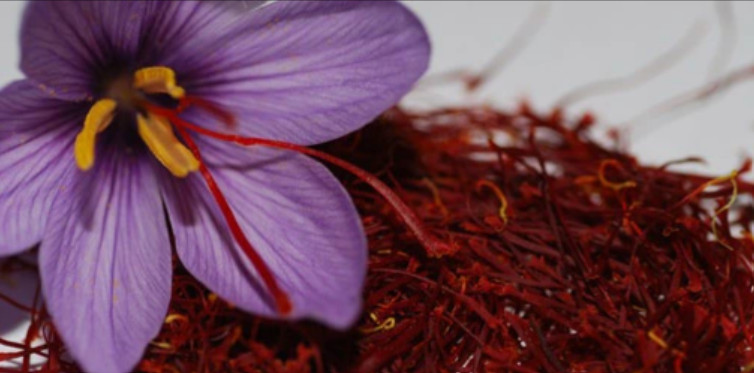 5 Grams Pure Organic Saffron Zaffron (Premium Quality) – Grade A!!
