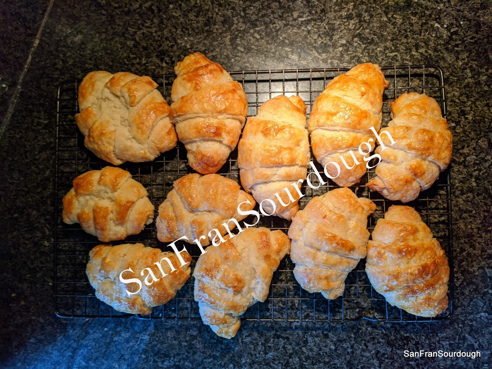 Sourdough Starter San Francisco California Yeast Bacteria baking bread pastry