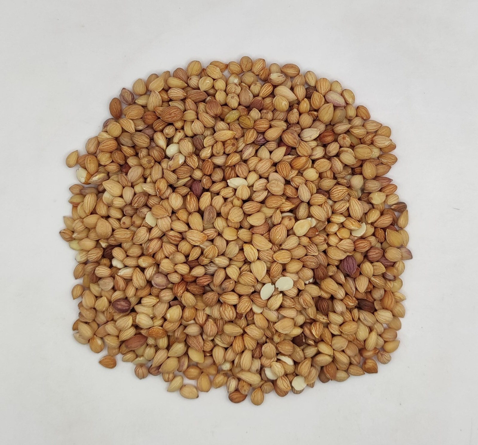 Dried Mahaleb Cherry Seeds Mahlepi 25g(0.9 oz) – 1.95Kg(68.8 oz) Prunus Mahaleb