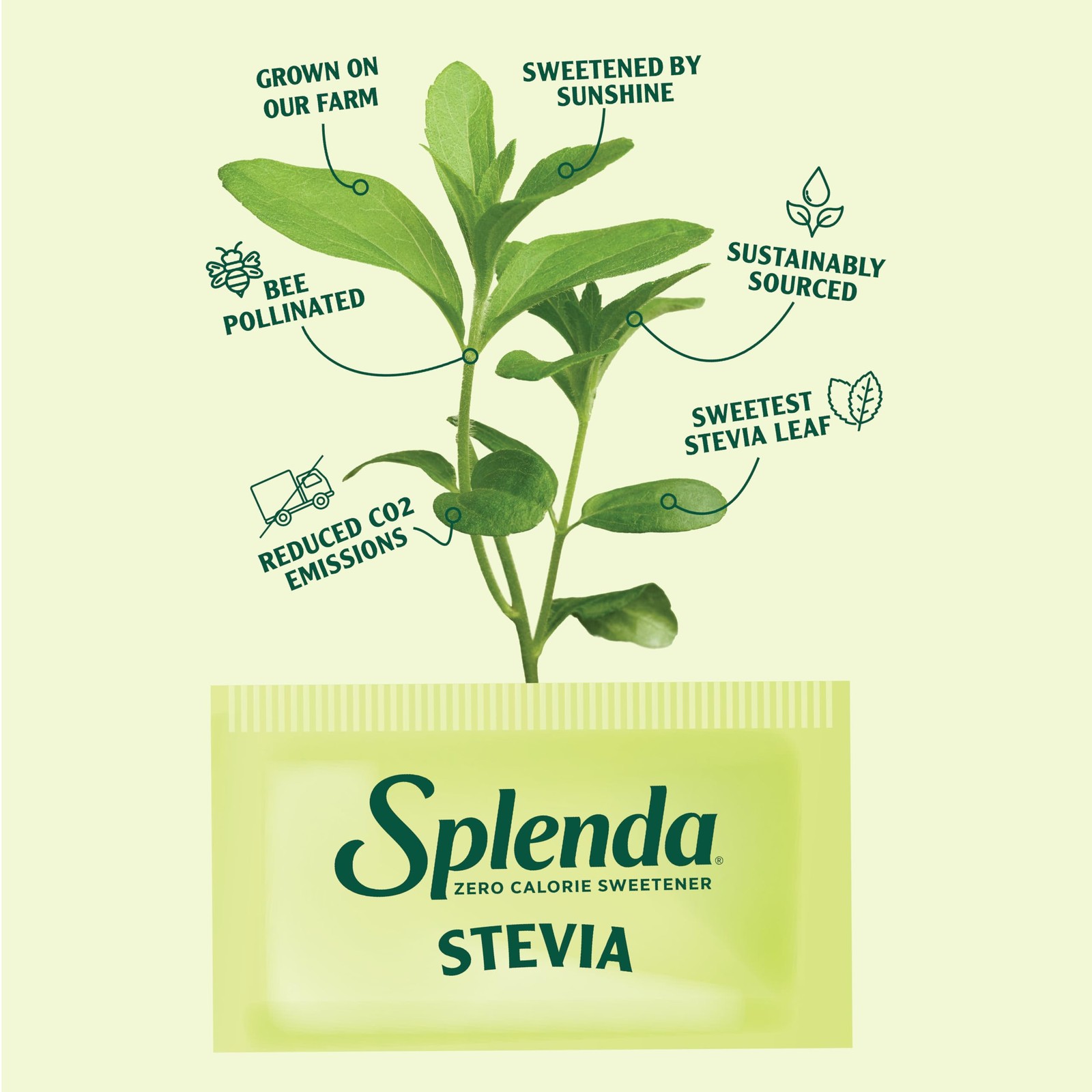 SPLENDA Stevia Zero Calorie Sweetener, Plant 500 Count (Pack of 1), White