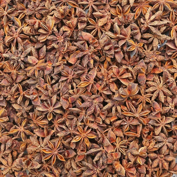 Whole Star Anise Pods -Anis Estrella – Organic – Bulk Sizes – llicium verum