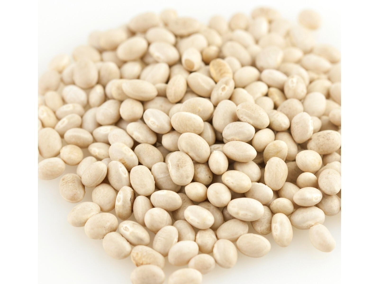 Organic Navy Bean Beans 10 Pounds Free Shipping