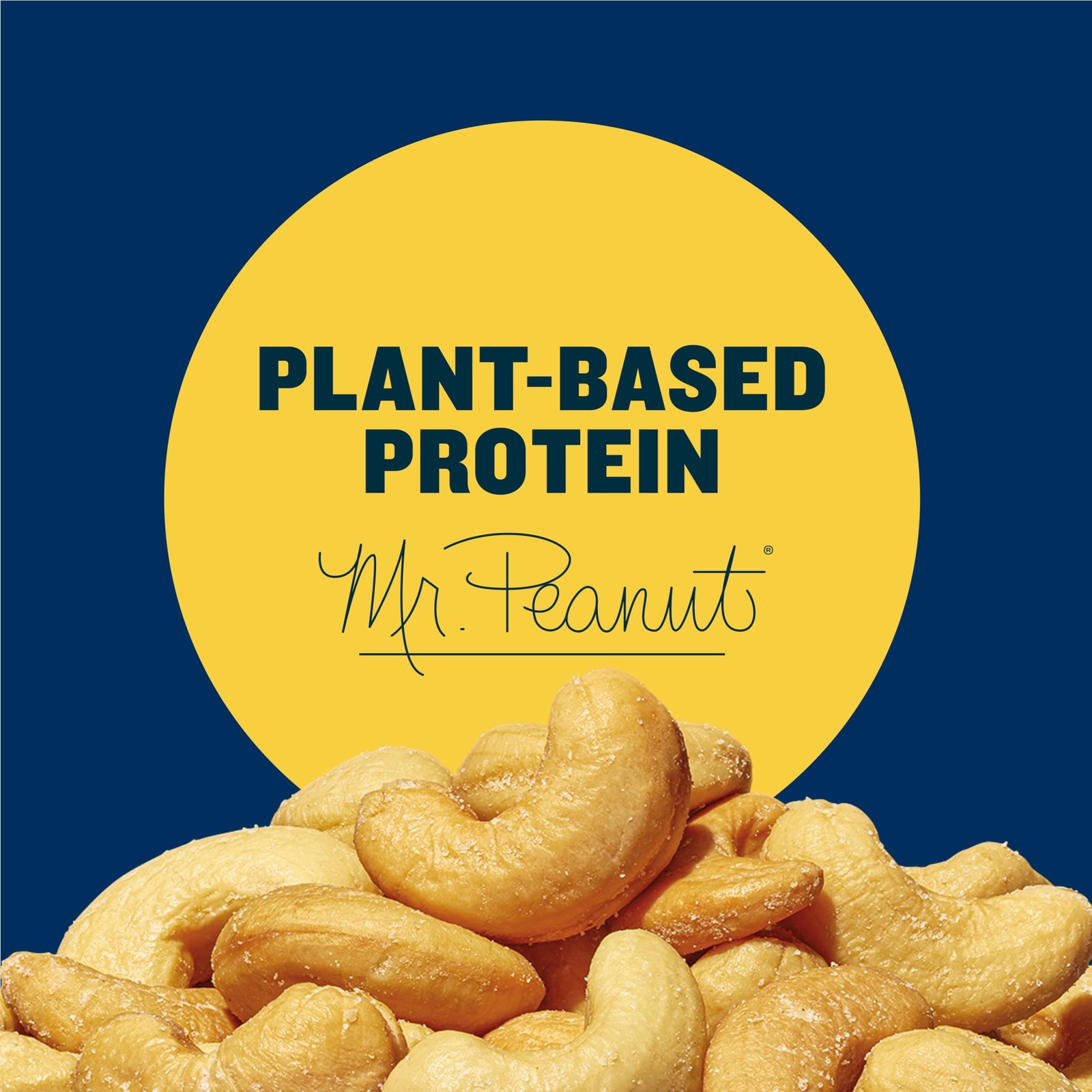 PLANTERS Salted Cashews, Roasted 2 Ounce (Pack of 15), No Color