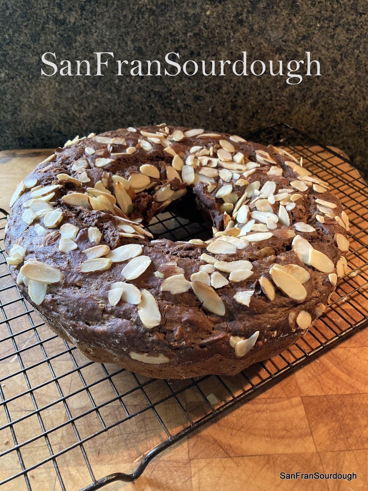 Sourdough Starter San Francisco California Yeast Bacteria baking bread pastry