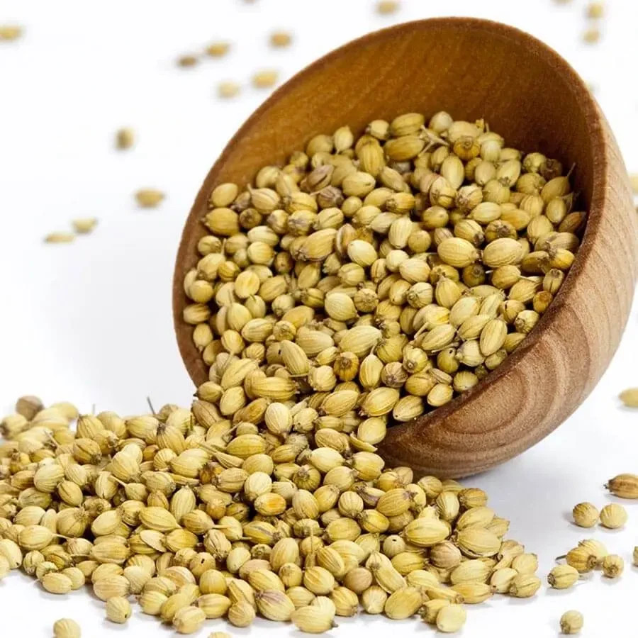 Coriander Seeds Whole Item Weight 4oz-5lb