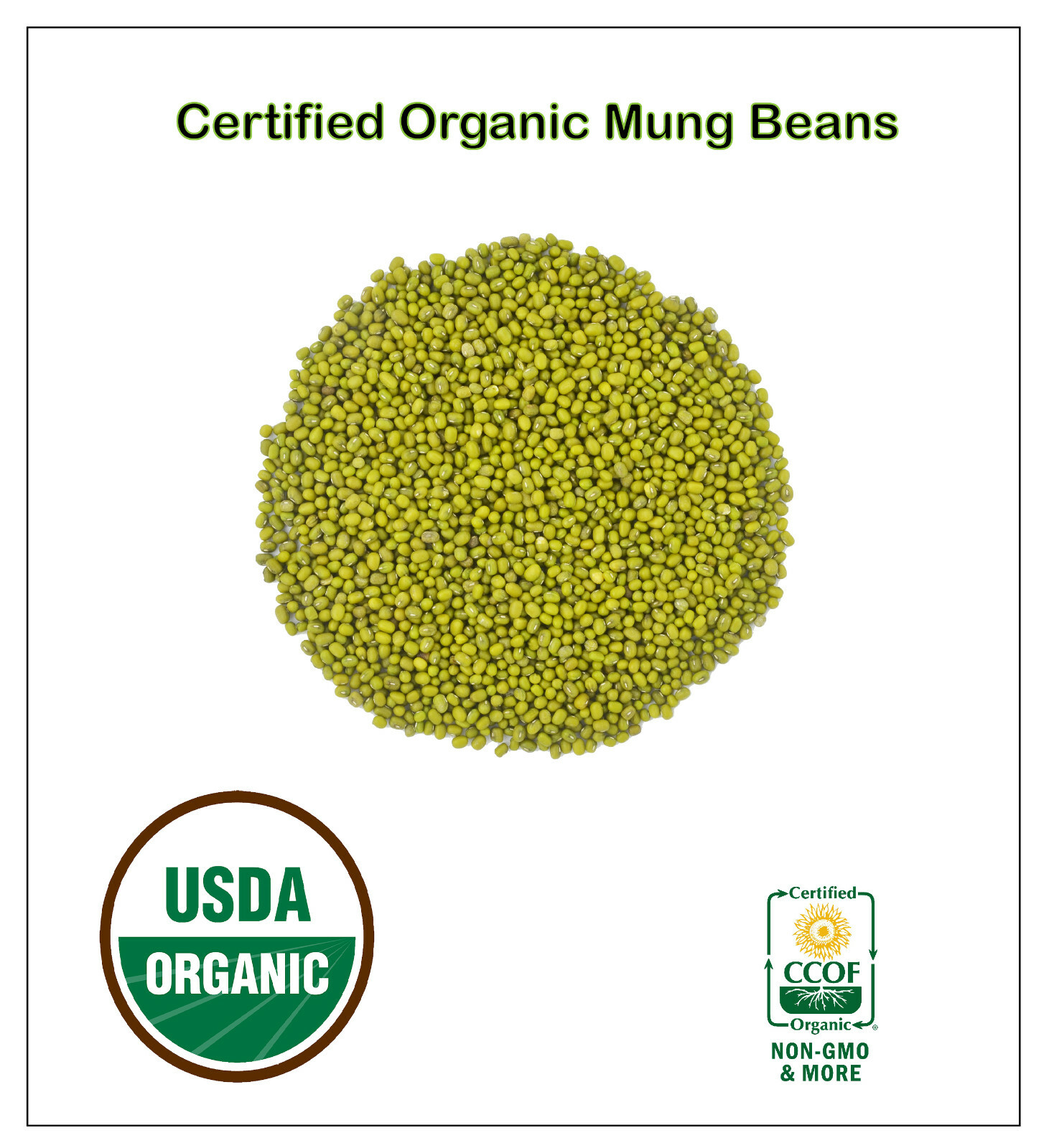 Organic Whole MUNG Beans ‘Green Gram’ ‘Moong’ Prewashed Clean non GMO