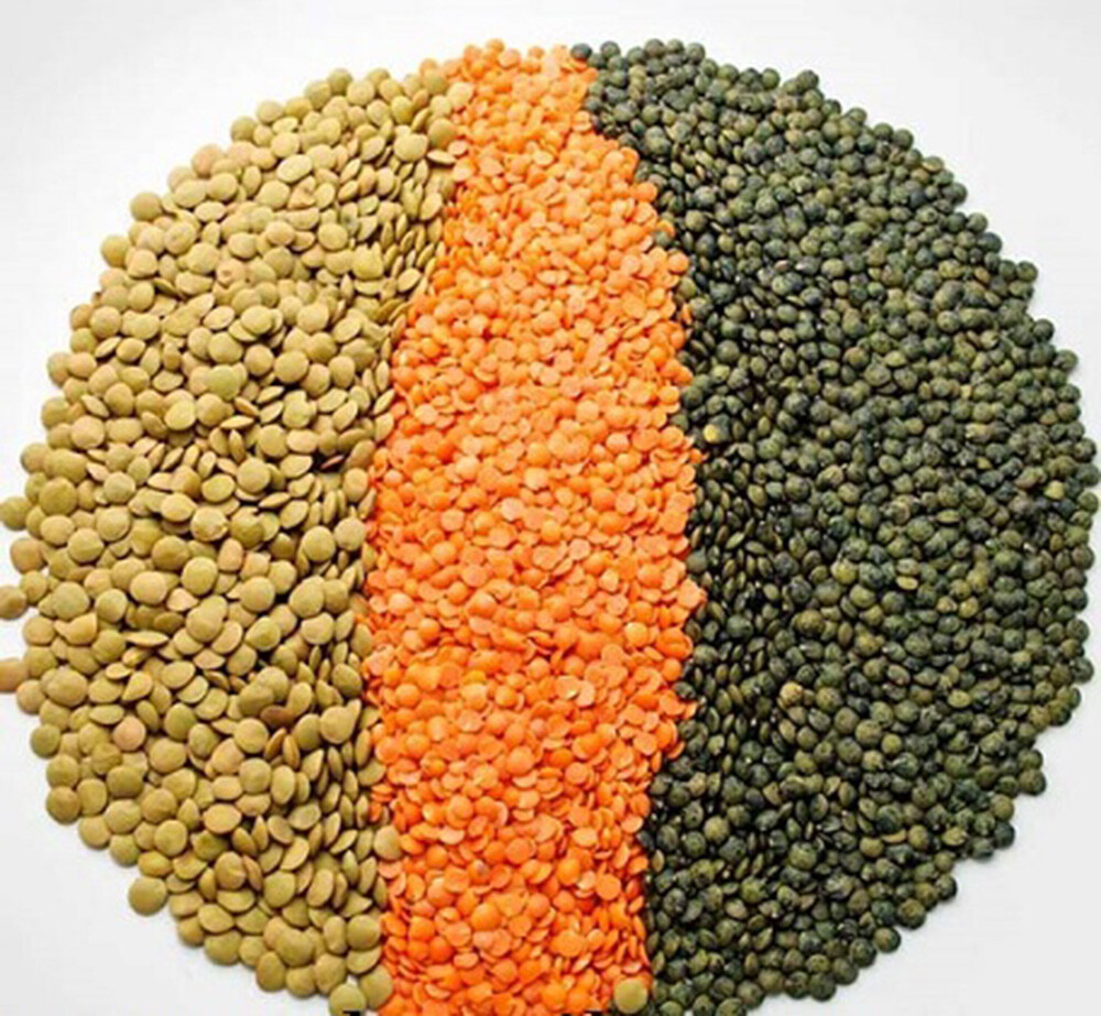 Organic Red Split Lentils aka Masoor Dal non-GMO Bulk rich in Iron and Protein
