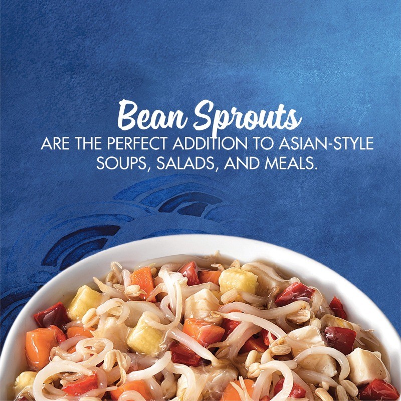 (4 pack) La Choy Bean Sprouts, Canned Vegetables, 14 oz Can,NEW