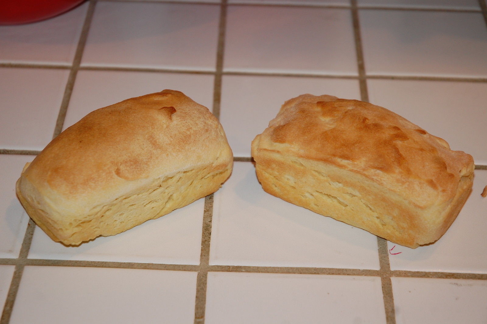 @ Gluten Free SOURDOUGH STARTER San Francisco yeast bread flour mix SAMMY