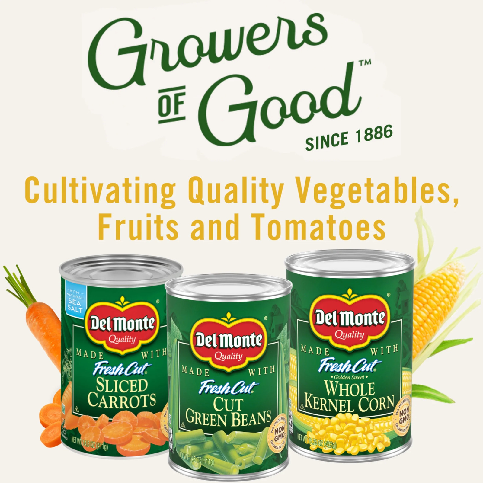 (12 Pack) Fresh Cut Leaf Spinach, 13.5 Oz Can, Canned Vegetables
