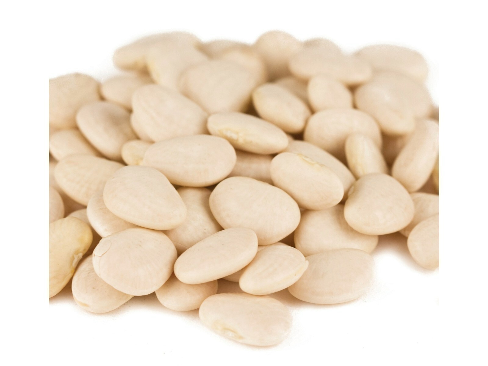 Baby Lima Bean Beans 10 Pounds Free Shipping