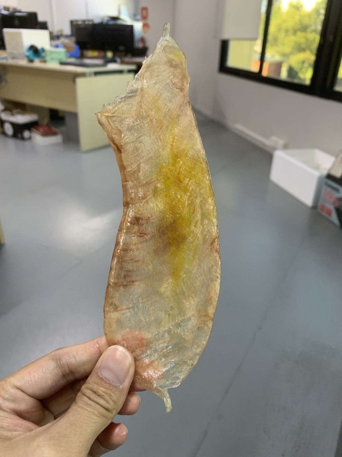 Australia Dried Fish Maw/Bladders / 澳洲花膠/花胶 500g